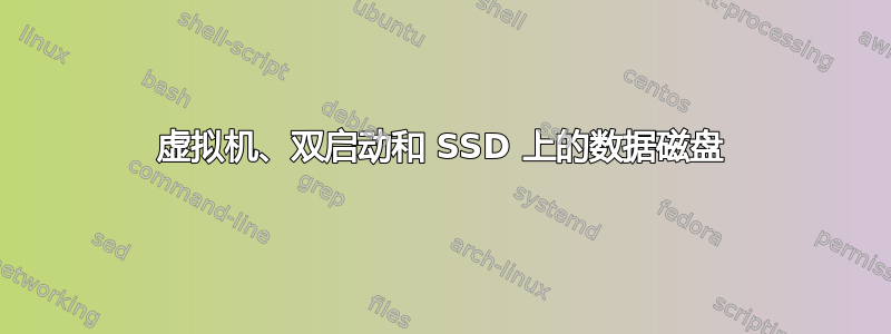 虚拟机、双启动和 SSD 上的数据磁盘