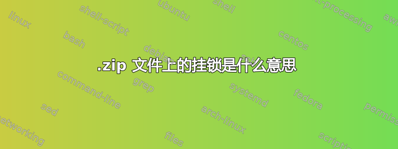 .zip 文件上的挂锁是什么意思