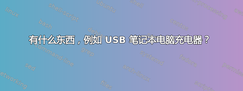 有什么东西，例如 USB 笔记本电脑充电器？