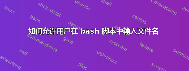 如何允许用户在 bash 脚本中输入文件名