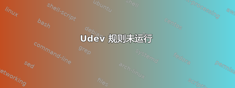 Udev 规则未运行