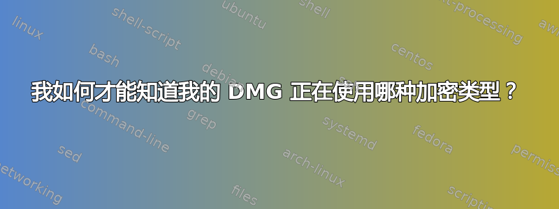 我如何才能知道我的 DMG 正在使用哪种加密类型？