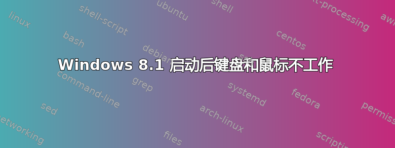 Windows 8.1 启动后键盘和鼠标不工作