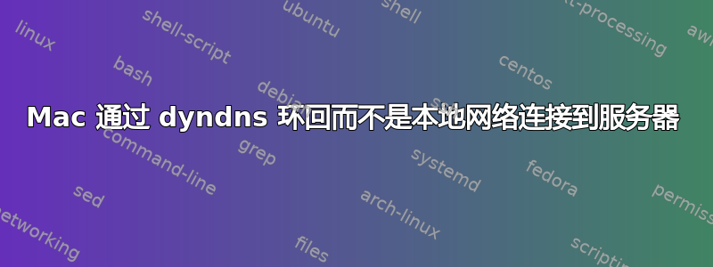 Mac 通过 dyndns 环回而不是本地网络连接到服务器