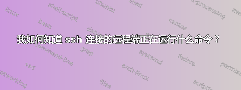 我如何知道 ssh 连接的远程端正在运行什么命令？