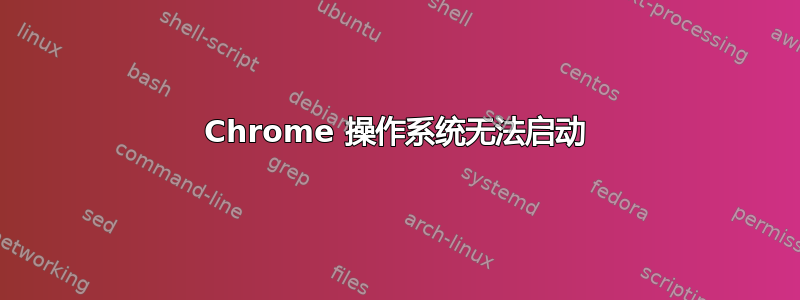 Chrome 操作系统无法启动