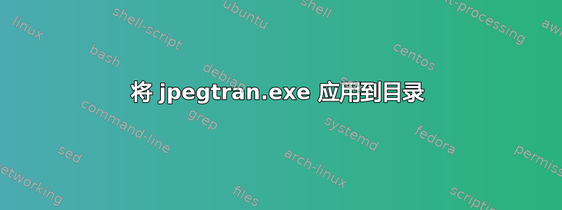 将 jpegtran.exe 应用到目录