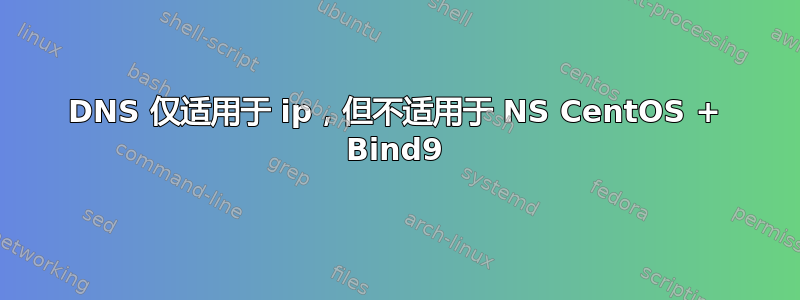 DNS 仅适用于 ip，但不适用于 NS CentOS + Bind9