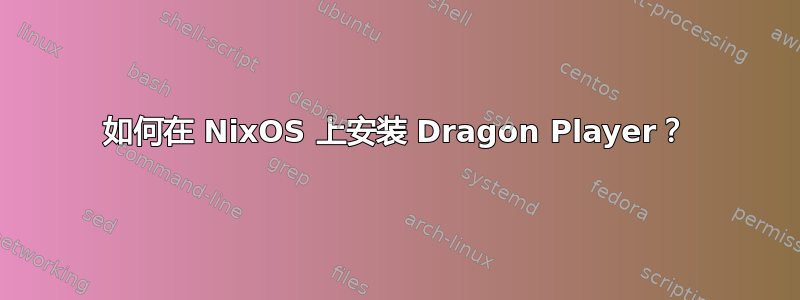 如何在 NixOS 上安装 Dragon Player？