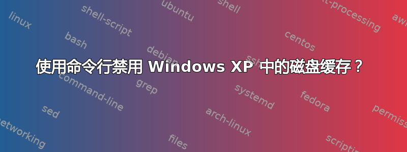 使用命令行禁用 Windows XP 中的磁盘缓存？