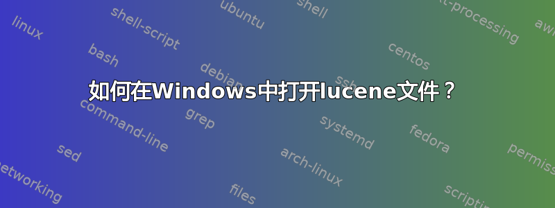 如何在Windows中打开lucene文件？