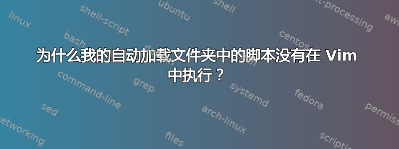 为什么我的自动加载文件夹中的脚本没有在 Vim 中执行？