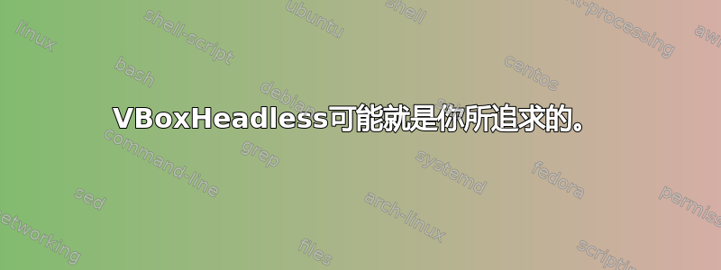 VBoxHeadless可能就是你所追求的。