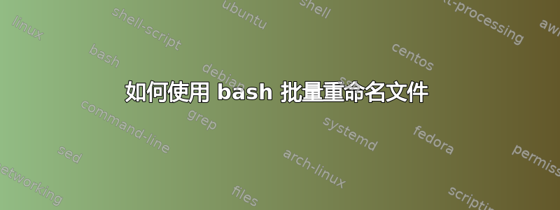 如何使用 bash 批量重命名文件