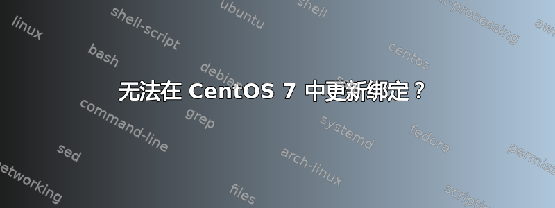 无法在 CentOS 7 中更新绑定？