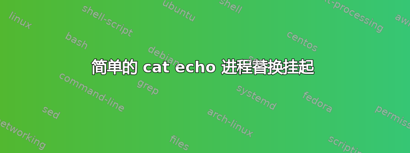 简单的 cat echo 进程替换挂起