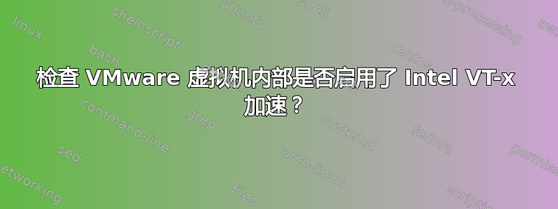 检查 VMware 虚拟机内部是否启用了 Intel VT-x 加速？