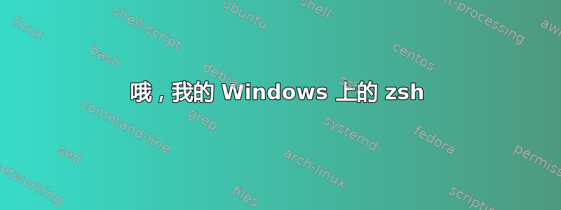 哦，我的 Windows 上的 zsh