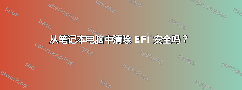 从笔记本电脑中清除 EFI 安全吗？