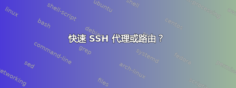 快速 SSH 代理或路由？