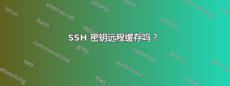 SSH 密钥远程缓存吗？