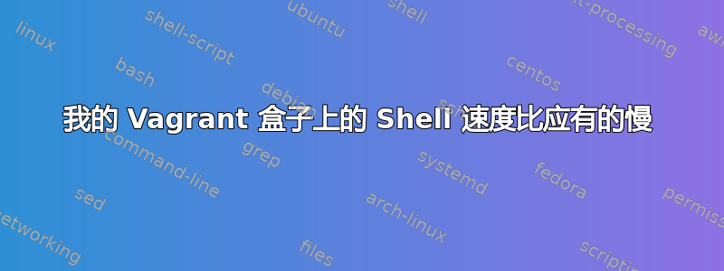 我的 Vagrant 盒子上的 Shell 速度比应有的慢