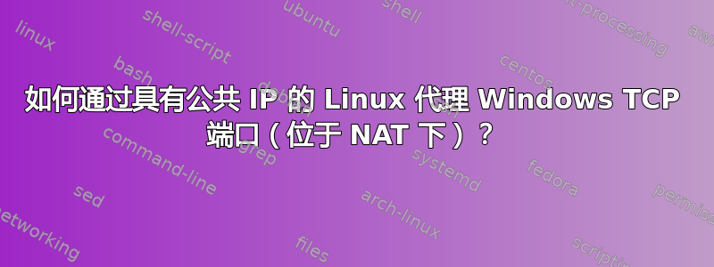 如何通过具有公共 IP 的 Linux 代理 Windows TCP 端口（位于 NAT 下）？