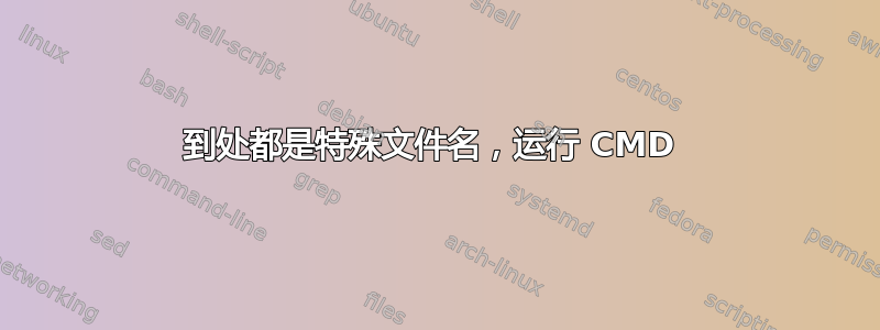 到处都是特殊文件名，运行 CMD 