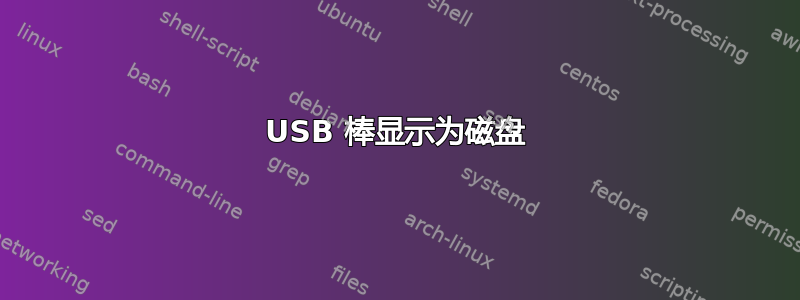 USB 棒显示为磁盘