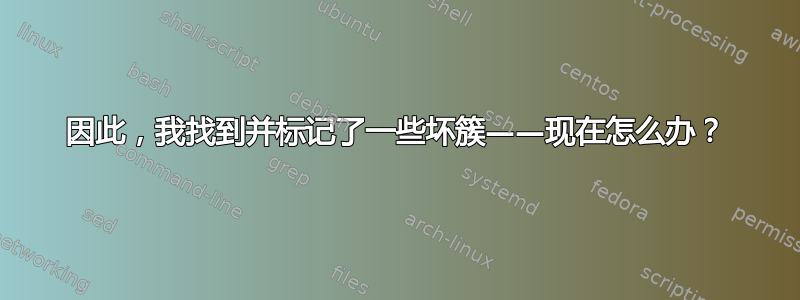 因此，我找到并标记了一些坏簇——现在怎么办？