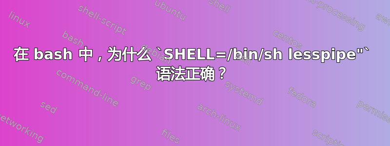 在 bash 中，为什么 `SHELL=/bin/sh lesspipe"` 语法正确？