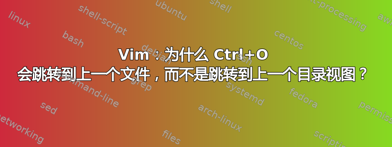 Vim：为什么 Ctrl+O 会跳转到上一个文件，而不是跳转到上一个目录视图？