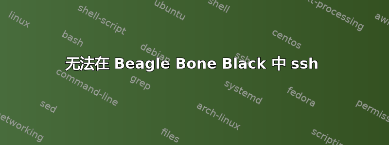 无法在 Beagle Bone Black 中 ssh