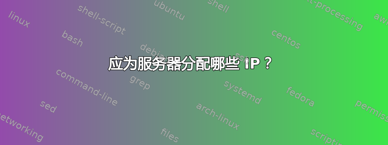 应为服务器分配哪些 IP？