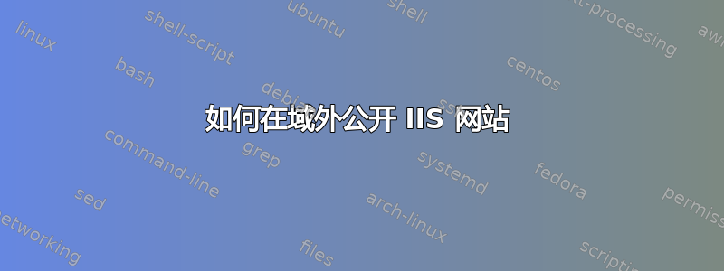 如何在域外公开 IIS 网站