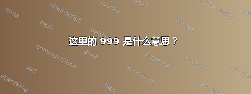 这里的 999 是什么意思？