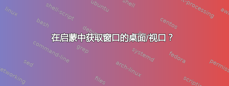 在启蒙中获取窗口的桌面/视口？