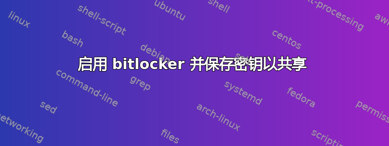 启用 bitlocker 并保存密钥以共享