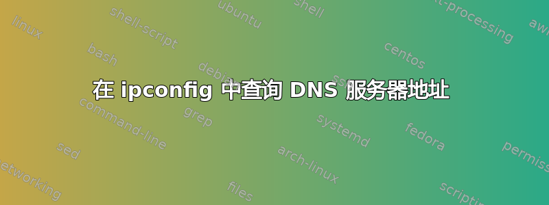 在 ipconfig 中查询 DNS 服务器地址