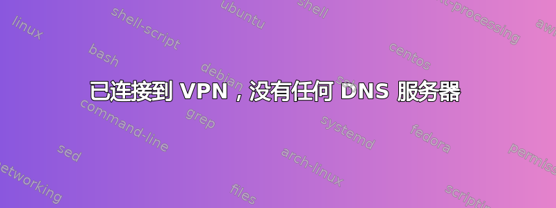 已连接到 VPN，没有任何 DNS 服务器