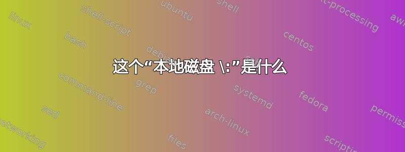 这个“本地磁盘 \:”是什么