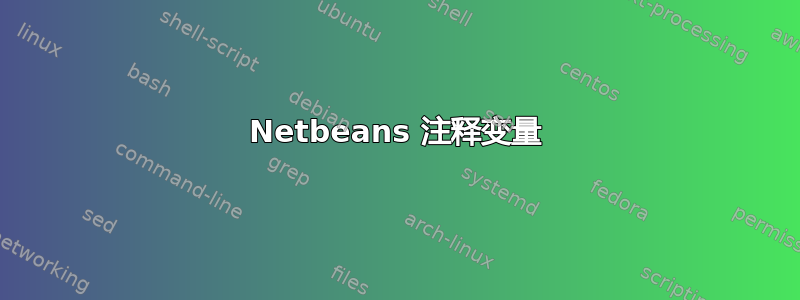 Netbeans 注释变量