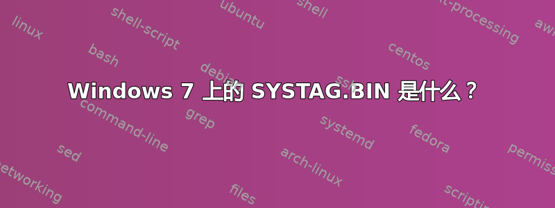 Windows 7 上的 SYSTAG.BIN 是什么？