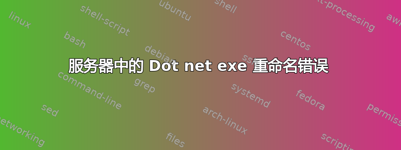 服务器中的 Dot net exe 重命名错误