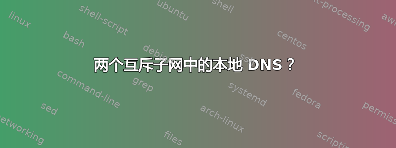 两个互斥子网中的本地 DNS？