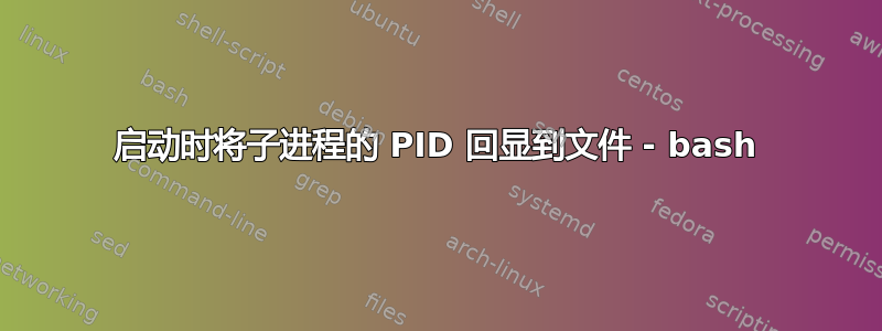 启动时将子进程的 PID 回显到文件 - bash