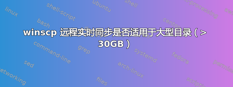 winscp 远程实时同步是否适用于大型目录（> 30GB）