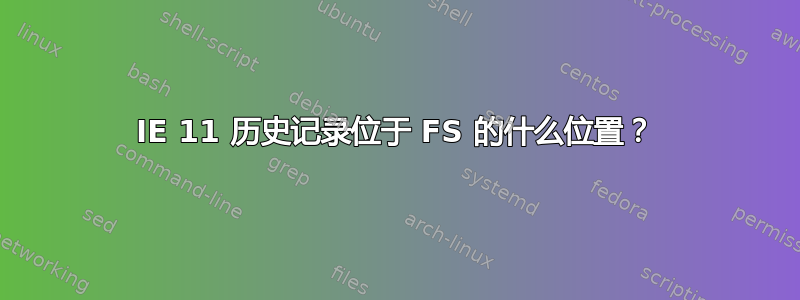 IE 11 历史记录位于 FS 的什么位置？