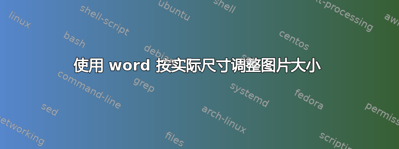 使用 word 按实际尺寸调整图片大小