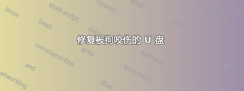 修复被狗咬伤的 U 盘